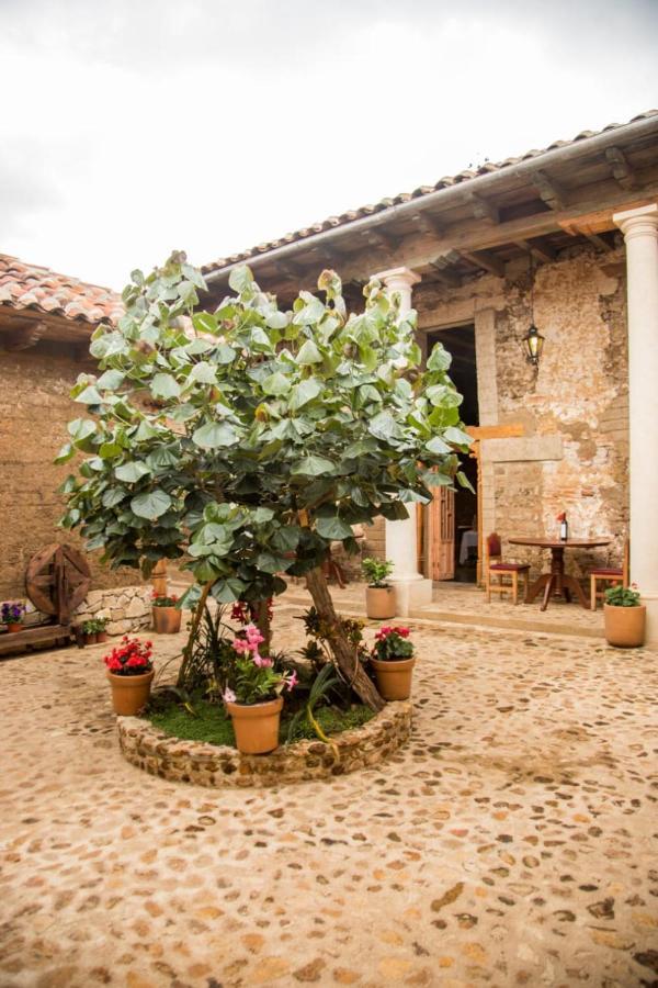 San Cristóbal de Las Casas Hotel Casa De Gandhi מראה חיצוני תמונה